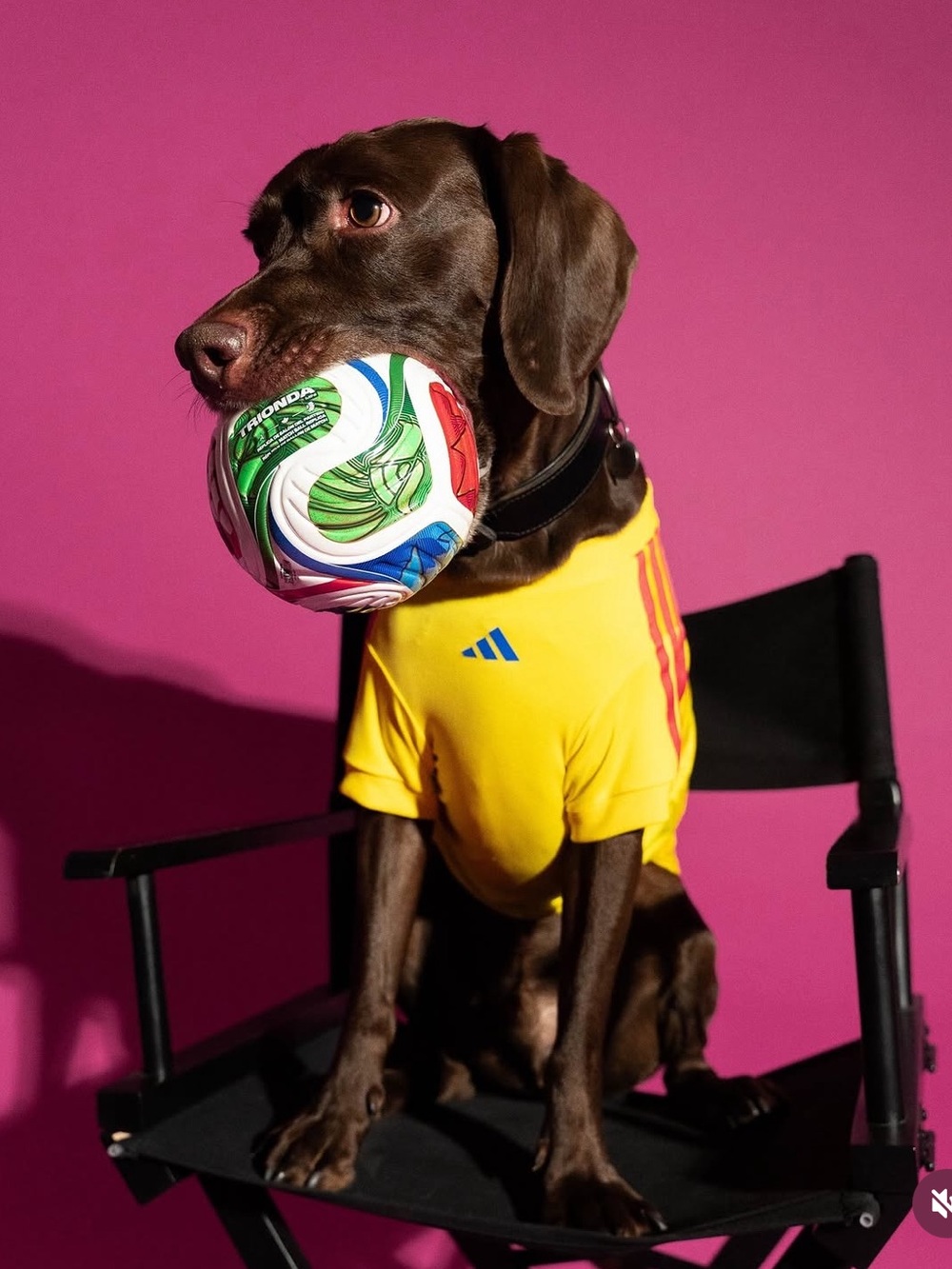 adidas Yellow Colombia Soccer Dog Jersey James Rodriguez FIFA World Cup